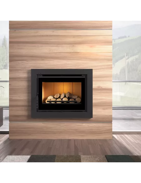 Chimenea de Leña Insertable y Canalizable con Puerta I-170 de FM