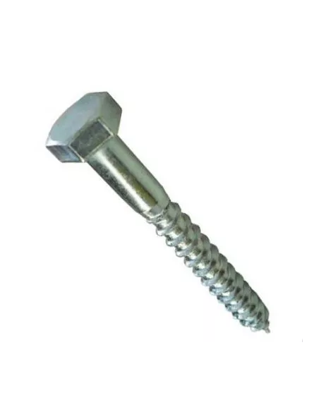 TORNILLO DIN 571 10X100 BOLSA 40 UD -A0618