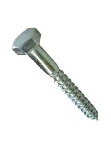 TORNILLO DIN 571 10X100 BOLSA 40 UD -A0618