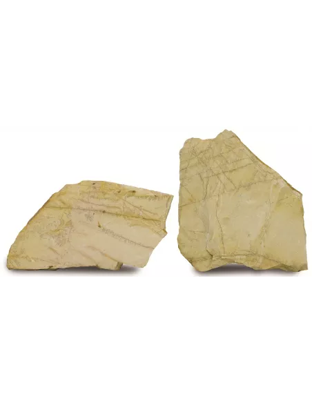 PIEDRA IRREGULAR AMARILLO TRIANA