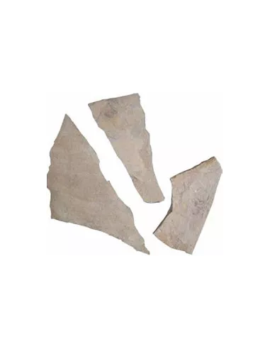 PIEDRA IRREGULAR RAIZ FOSIL