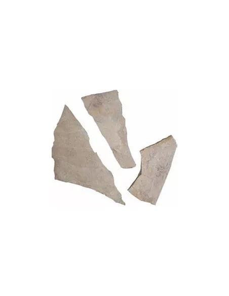 PIEDRA IRREGULAR RAIZ FOSIL