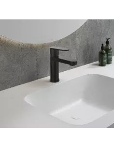 GRIFO LAVABO ALTO MONOMANDO DIVA HELENA NEGRO