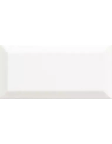 BISSEL BLANCO BRILLO 10x20