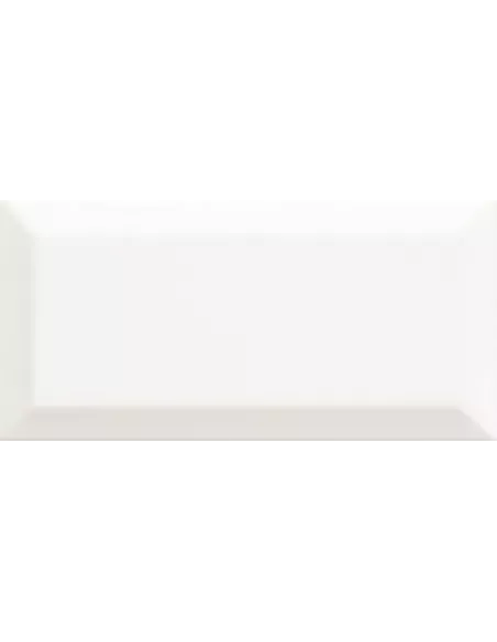BISSEL BLANCO BRILLO 10x20