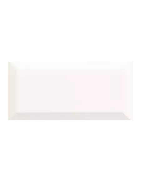 BISSEL BLANCO MATE 10X20