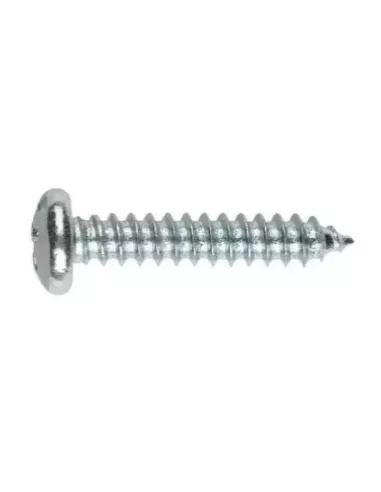 TORNILLO ROSCA CHAPA C/ALOMADA ZINC 5.5x25