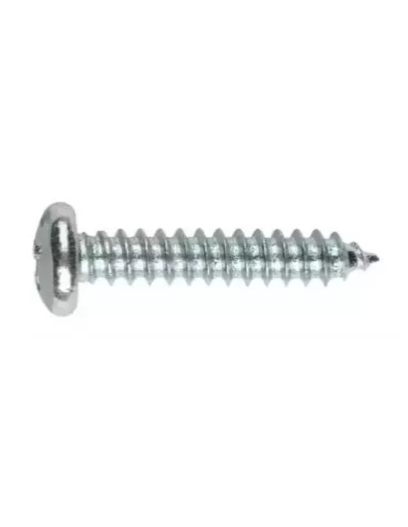 TORNILLO ROSCA CHAPA C/ALOMADA ZINC 5.5x25