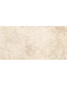 CROSSCUT PETRA OUTDOOR 60X120 RECTIFICADO (OFERTA)