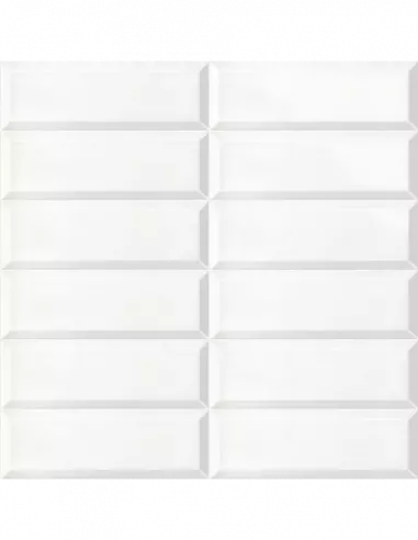 BISSEL BLANCO BRILLO 10X30 (OFERTA)