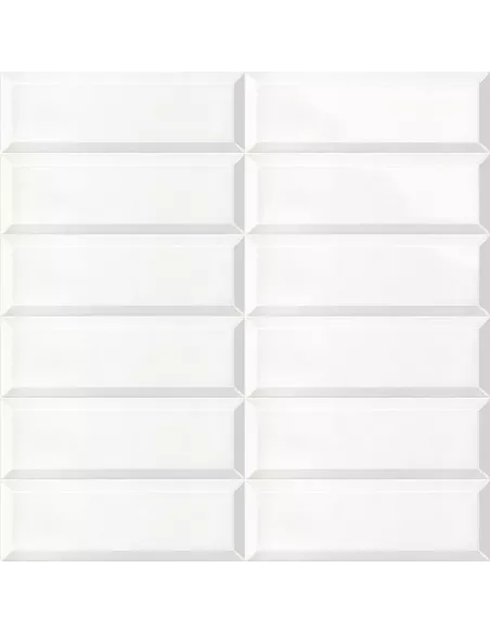 BISSEL BLANCO BRILLO 10X30 (OFERTA)