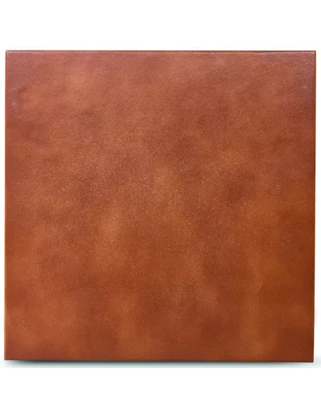 COTTO 33,3X33,3 (OFERTA)