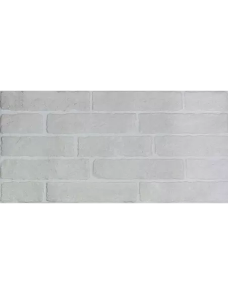 BELA BLANCO 25X50 (OFERTA)