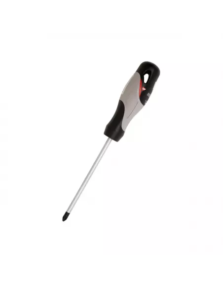 DESTORNILLADOR BOCA POZIDRIV 66230 PZ0