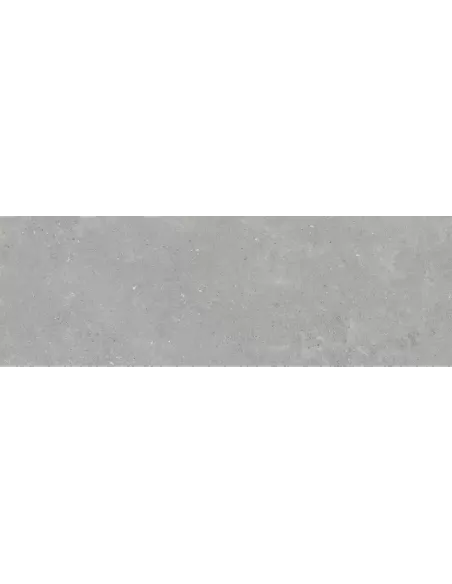 ELBA 9541 GRIS 30X90 RECT