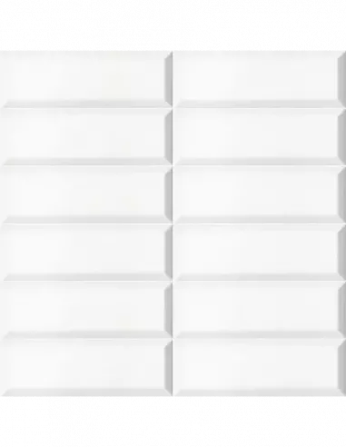 BISSEL BLANCO MATE 10X30 (OFERTA)