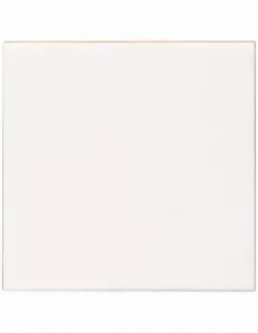 BLANCO BRILLO 20x20 FUTURA-NIEVE (OFERTA)