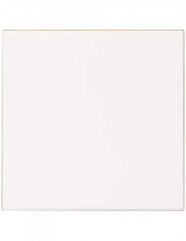 BLANCO BRILLO 20x20 FUTURA-NIEVE (OFERTA)