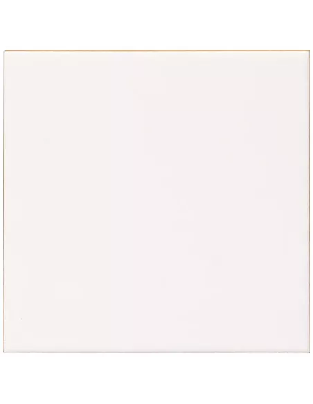 BLANCO BRILLO 20x20 FUTURA-NIEVE (OFERTA)