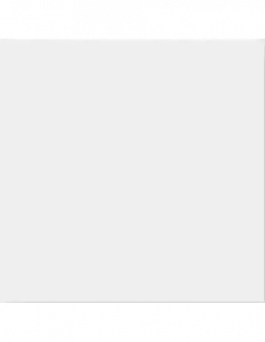 ANTIC BLANCO 15x15 (OFERTA)