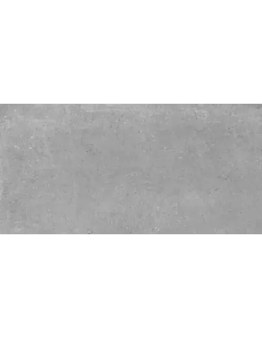 GRAVEL GREY 30X60 RECT C2