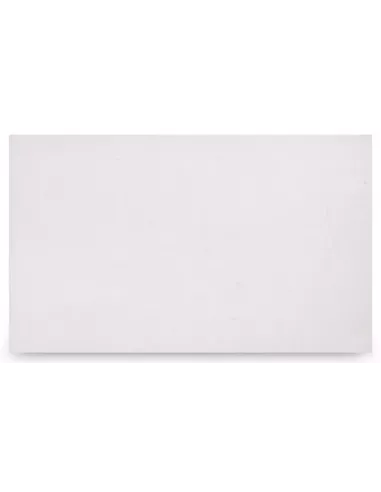PLACA ESCAYOLA LISA 100x60X2 (TECHO CONTINUO)
