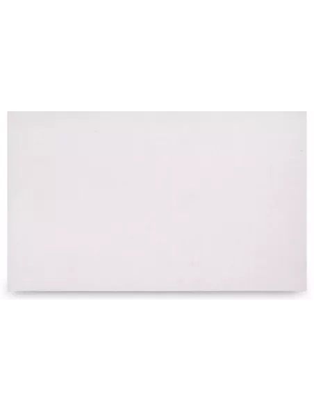 PLACA ESCAYOLA LISA 100x60X2 (TECHO CONTINUO)