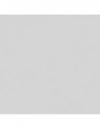 BARCELONA GRIS 25X25