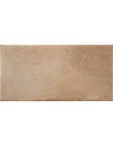 TOSCA ANTIQUE COTTO MT INOUT 30X60