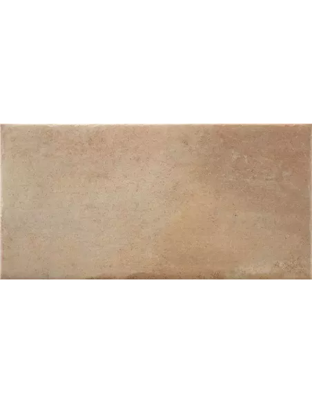 TOSCA ANTIQUE COTTO MT INOUT 30X60